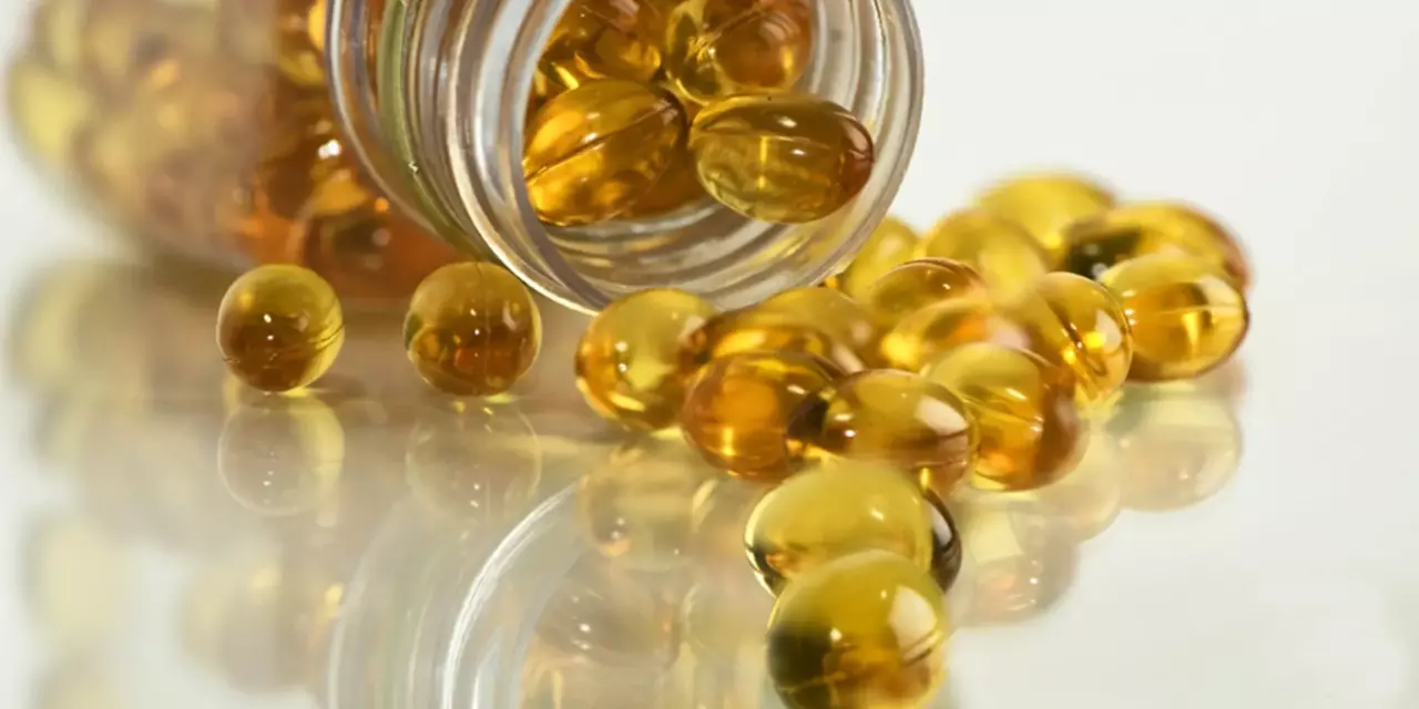 Fish oil from hamsa: A unique product for health and business